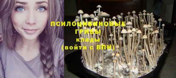 меф Гатчина