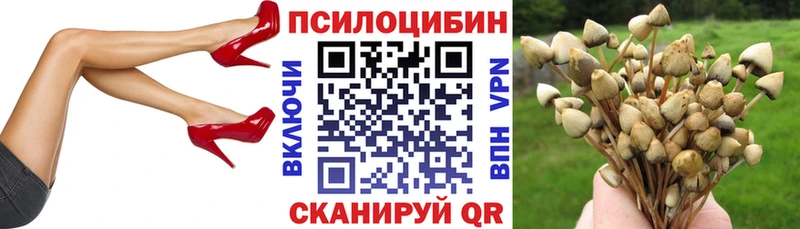продажа наркотиков  hydra зеркало  Галлюциногенные грибы Cubensis  Мезень 